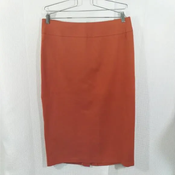 NWOT! ASHLEY STEWART! TERRACOTTA ORANGE STRETCH KNIT 2 PIECE SKIRT SUIT! SZ 16 - Picture 5 of 12